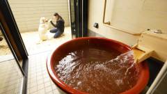 1413-slider03-shiga-regina-resort-biwakonagahama-open-air-bath-in-the-guest-room