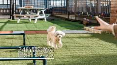 1354-slider01