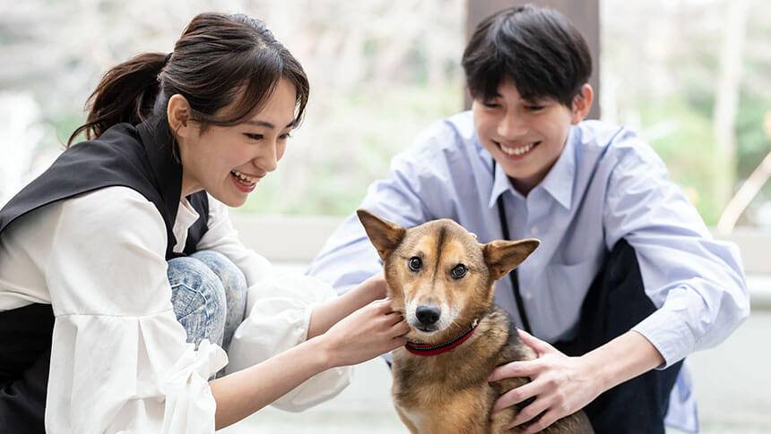 優しい表情で中型犬の首元をなでる男女。愛犬もリラックスした様子で、宿での温かな交流のひとときを映している