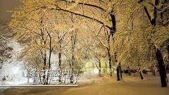 冬の幻想的な雪景色｜ラボランドくろひめ