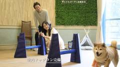 雨の日も安心の室内ドッグラン