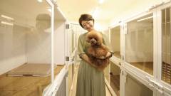 1524-slider07_inumoshibakouen_petroom