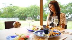 1276-slider01-shiga-hotel-biwadog-dining-with-your-dog
