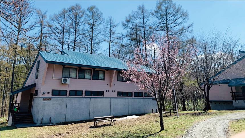 青空の下、淡いピンク色の宿泊棟と咲き始めた桜が彩る春のラボランドくろひめ。自然に囲まれた静かな環境で、心安らぐひとときを過ごせます。｜長野県の黒姫高原にある犬と泊まれる宿｜森の中の戸建ロッジでペットと過ごす休日を｜ラボランドくろひめ