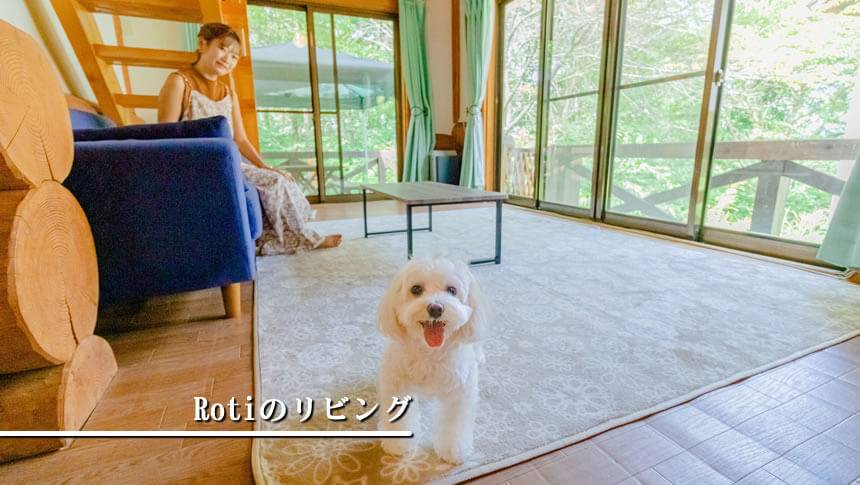 ゆがふ岐阜「Roti」の広々としたリビングで愛犬とくつろぐ宿泊客
