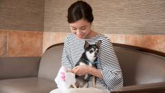 1156-slider07-gifu-wanpakutei-wiping-my-dogs-paws