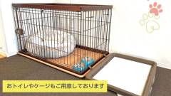 1643-slider02-osaka-casastella10byliaison-dogamenities