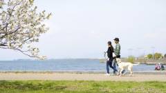 1413-slider07-shiga-regina-resort-biwakonagahama-stroll
