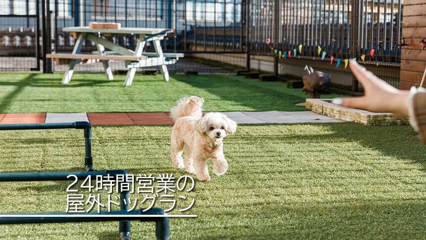 あわら温泉　月香（げっか）の屋外ドッグランは24時間営業です