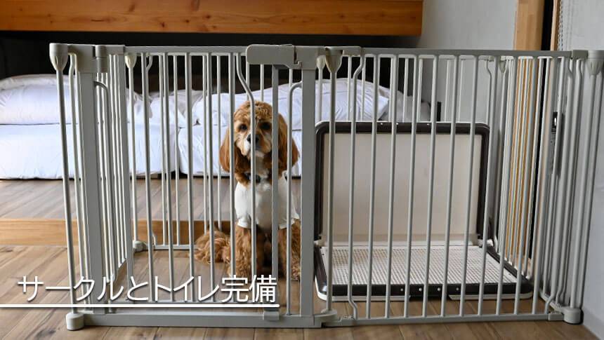 長野県・諏訪の愛犬と泊まれる宿「INU邸 SKY TERRACE SUWA」の客室内に完備された犬用サークルと犬用トイレ