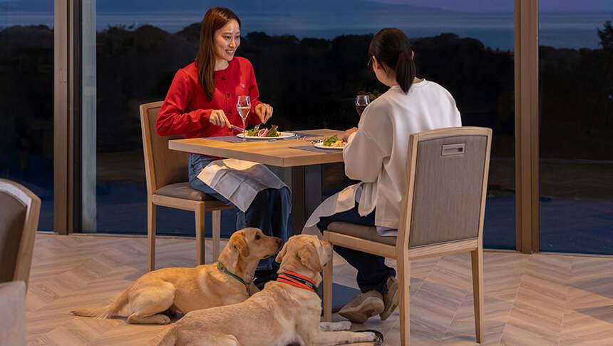 清潔感とデザイン性を兼ね備えたモダンなレストラン。大きな窓から差し込む自然光と、洗練されたインテリアが、食事をより華やかに演出。愛犬と一緒に過ごす旅の食事が、さらに思い出深い時間に。｜犬と泊まれる静岡県のホテル｜わんわんパラダイス プレミア 伊豆高原　旧：Wan's Resort　城ヶ崎海岸