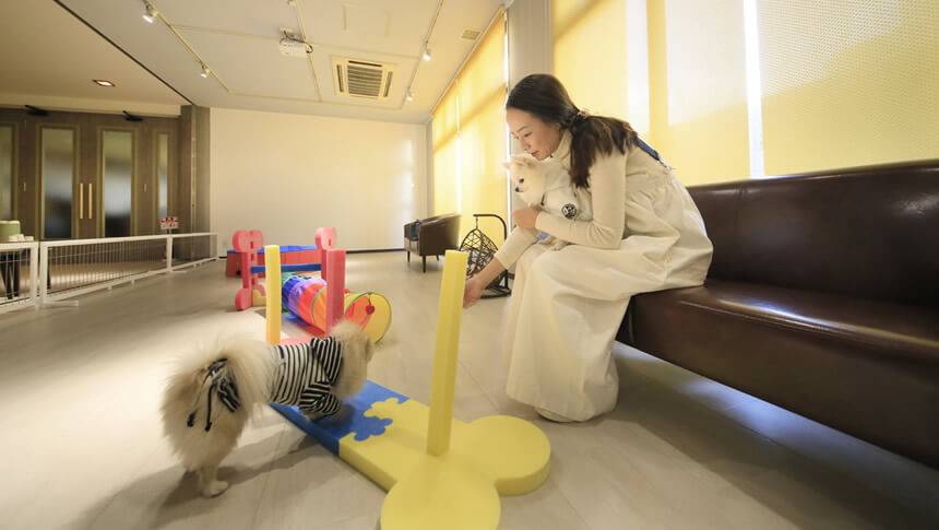 愛犬と遊べるゆるり西伊豆の屋内ドッグラン