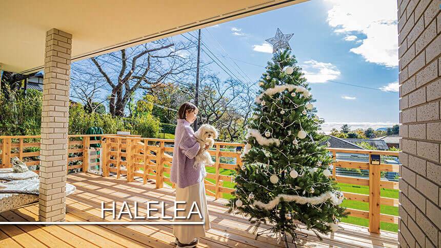 静岡県・伊豆高原の犬と泊まれる宿　ゆがふ「伊豆」｜冬のHALELEAのテラス。大きなクリスマスツリーの横で、白い小型犬を抱いた女性が微笑んでいる。背景には冬の澄んだ空と庭の緑が広がっている