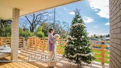 1581-slider06-yugafuizu-halelea-terrace