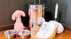 1156-slider08-gifu-wanpakutei-dog-amenities