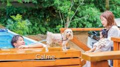 1581-slider03-yugafuizu-calma-pool