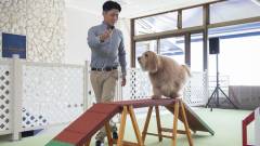 1427-slider09旧