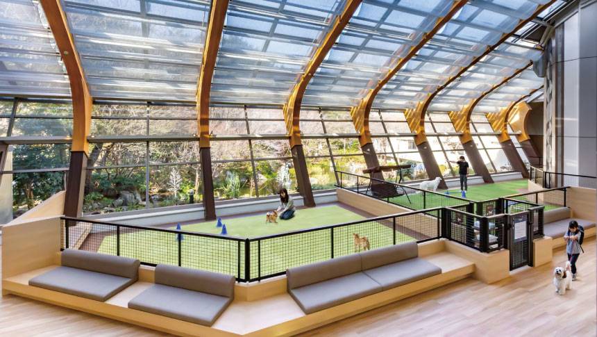 わんわんパラダイス伊豆高原の屋内ドッグランの風景