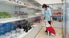 愛犬用グッズが充実したショップ|わんわんパラダイス 八ヶ岳