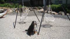 0036-slider09-yamagata-zenshichinoyu-indoor-garden