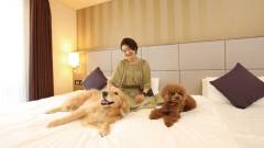 1524-slider02_inumoshibakouen_bed_ng