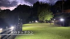 0527-slider12-shizuoka-nagomino-inuyado-mutsumian-nighttime-Dog-Run