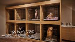 1631-slider13-irako-ocean-resort-pethouse