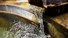 1639-slider02-wanwanparadise-naraikoma