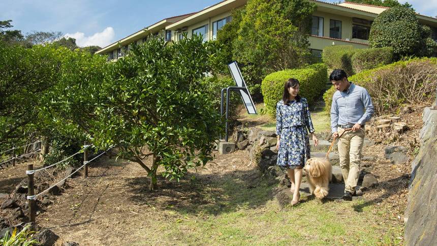 緑豊かな敷地内を愛犬と散歩。木漏れ日の小道を歩けば、心地よい風と自然の香りに包まれたリフレッシュの時間が流れます。｜犬と泊まれる静岡県のホテル｜わんわんパラダイス プレミア 伊豆高原　旧：Wan's Resort　城ヶ崎海岸