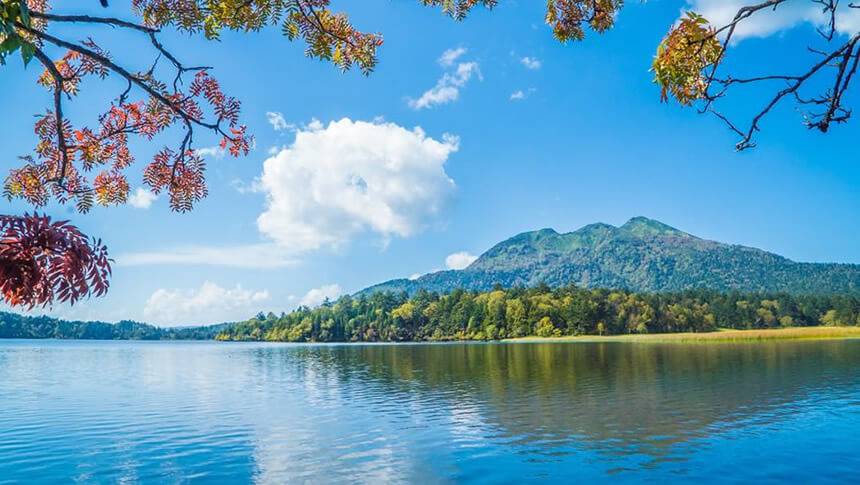 青空の下、湖面に山並みと木々が映る風景