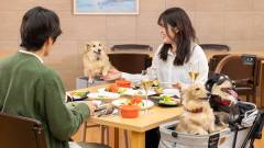 1616-WanWanParadise-Premium-Shiobara-restrant-slider01