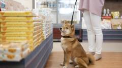 浜名湖で犬と泊まれる宿の売店コーナー|わんわんパラダイスホテルの館内ショップ