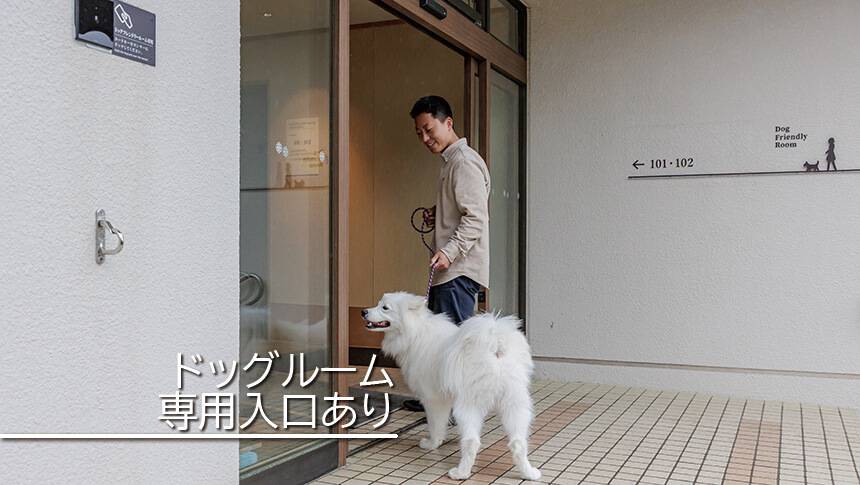 愛犬同伴の方には、ドッグフレンドリールームへ通じる専用ｎ出入口をご用意しております。｜犬と泊まれる千葉県鴨川の宿｜海のリゾート地らしい開放感と和のおもてなしを感じられる空間｜亀の井ホテル鴨川
