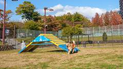 1306-slider05-tochigi-hotel-epinard-nasu-dog-run