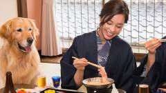 1156-slider01-gifu-wanpakutei-meal