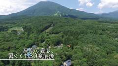 高原の夏は涼しく快適｜黒姫高原の自然