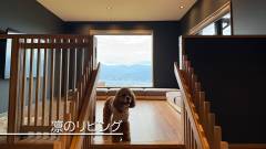 1649-slider02-nagano-inutei-sky-terrace-suwa-Living-area-of-the-Rin-room