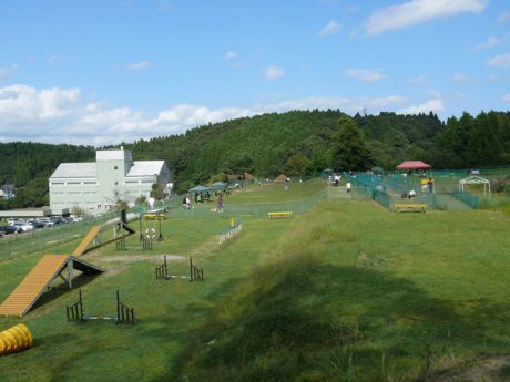 すいらん グリーンパーク 全国のペットと宿泊できるペンション プチホテル 旅館 ホテル 民宿 コテージなどを紹介するサイト ペット宿ドットコム 愛犬と宿泊 猫と宿泊できる宿を紹介中