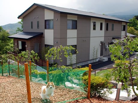 静岡県 伊豆高原 ペットと泊まれる温泉宿 ポメラニアン