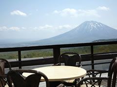 ナチュラルリゾートニセコワイスホテル ペットと宿泊できるペンション 旅館 ホテル 民宿 コテージなどを紹介 犬や猫と楽しく旅行に行こうよ