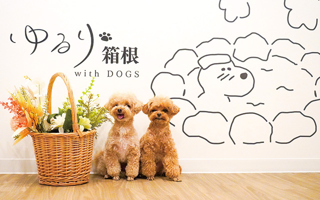2024 年8月に強羅にオープンした愛犬と泊まれる宿。ドッグランやフォトスポット、貸切風呂などワンちゃんも楽しめるコンテンツが盛りだくさん。｜犬と泊まれる神奈川県箱根の宿｜ゆるり箱根 with DOGS