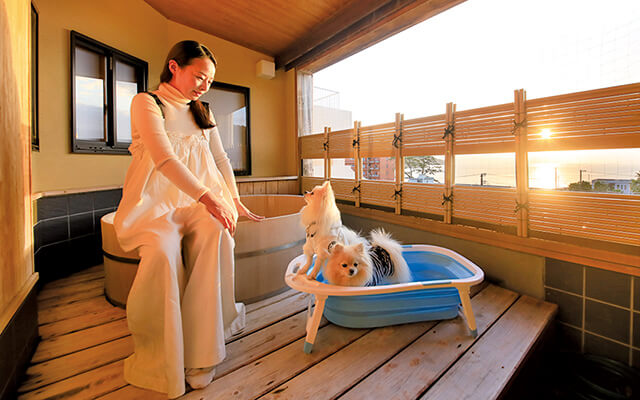 犬と泊まれる静岡県西伊豆 の旅館｜ゆるり西伊豆｜「愛犬とともに、ゆっくりと寛いで頂きたい」という思いから誕生した愛犬と泊まれる温泉宿