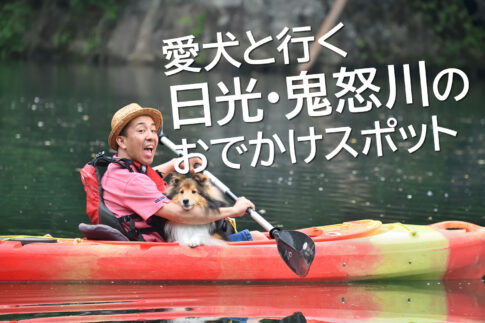 愛犬と楽しむ日光・鬼怒川の大自然！わんこと一緒にカヤック体験や観光スポットめぐりが楽しめる人気のおでかけエリア。愛犬と泊まれる宿やペット同伴OKの観光情報をチェックして、特別な思い出を作ろう。