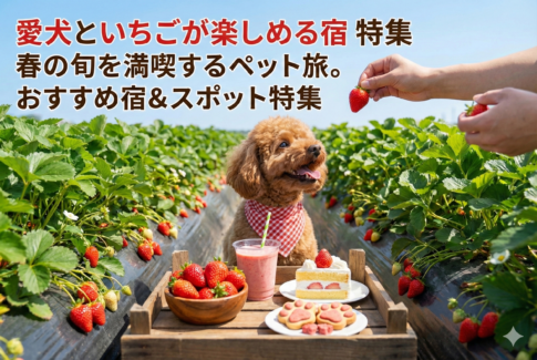 愛犬といちごが楽しめる宿特集。近隣のいちご狩りや愛犬用いちごスイーツが充実した旅行プラン