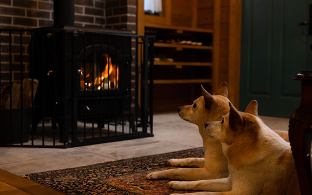 HERMANN Teddy Collectors’ House(ハーマンテディコレクターズハウス)｜長野県の犬と泊まれる宿｜薪ストーブの前で暖まりながら、炎をじっと見つめる2頭の柴犬。室内は落ち着いたアンティーク調。