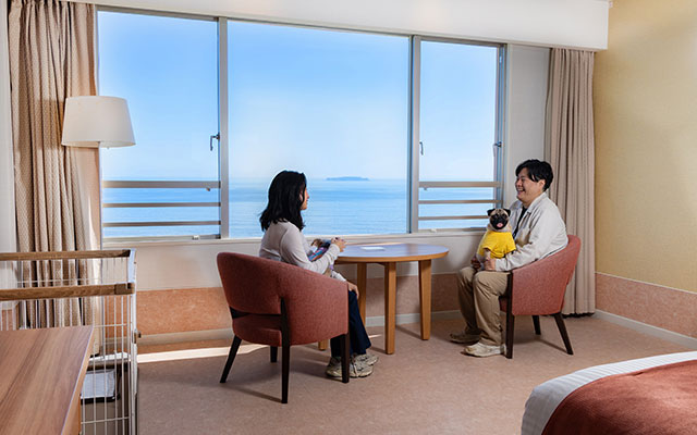 ホテルニューアカオのペット同伴客室。大きな窓から相模湾を一望できる部屋で、男女がそれぞれ小型犬を抱きかかえて談笑している。室内にはペット用のケージが設置されており、明るく清潔感のある洋室の様子。