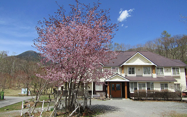長野県の森のペンション Ｗａｎらいふ｜満開のピンク色の桜の木越しに見える、長野県の山あいに建つ2階建てのペンション「Wanrらいふ」。
