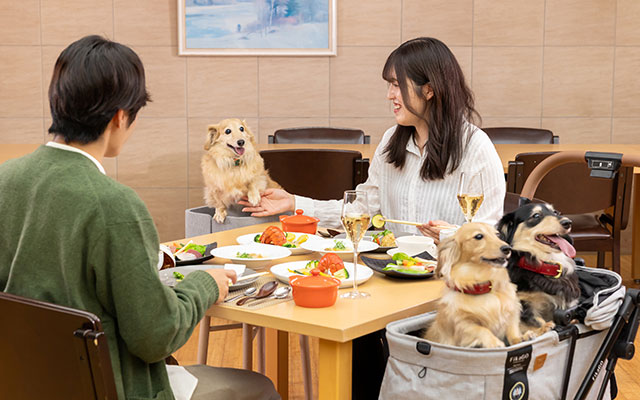 栃木県のわんわんパラダイスプレミア塩原｜豪華なディナーコースを囲むカップルと、ペットカートや椅子の上で一緒に食事を楽しむ3頭のダックスフンド。