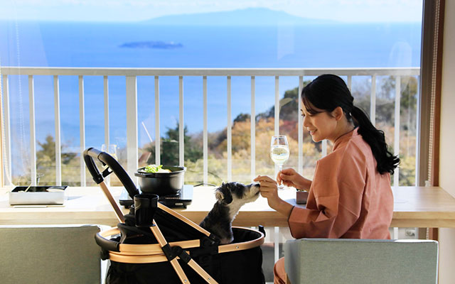 静岡県のゆるり熱海withDOGS｜オーシャンビューを望むホテルの部屋で、愛犬のミニチュアシュナウザーと一緒に食事をする女性。女性はワイングラスを手に、ペットカートに乗った愛犬と視線を合わせて笑いかけている。背景には大きな窓越しに青い海と島、山々の絶景が広がる。