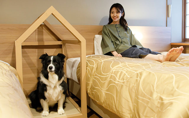 栃木県のゆるり奥日光withDOGS｜ホテルの客室で、ベッドの横に設置されたハウス型の専用スペースに座るボーダーコリー。その隣のベッドでは、館内着を着た女性が笑顔で愛犬を見守りながらくつろいでいる。